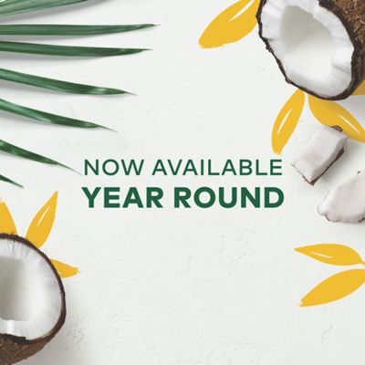 Island Coconut® Coffee - 2