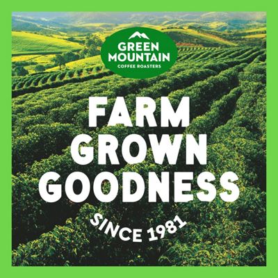 Wild Mountain Blueberry® Coffee - 10
